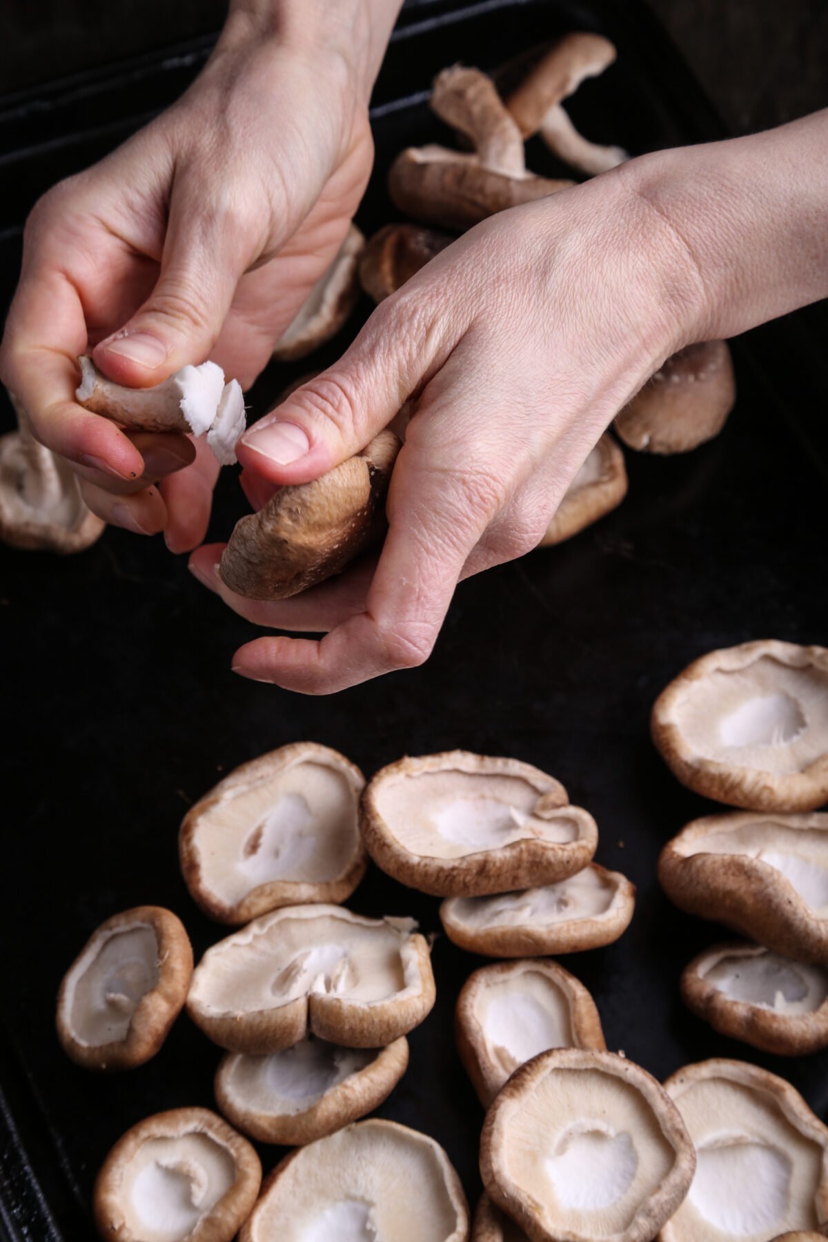 Two hands destemming shiitake mushrooms.