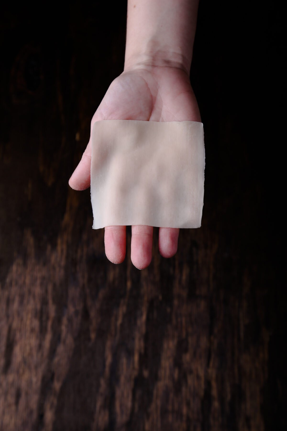A flat hand holding a wonton skin.