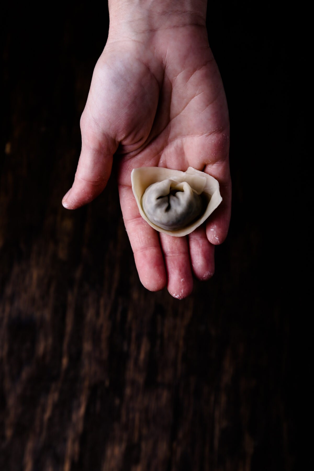 A hand holding a folded wonton.
