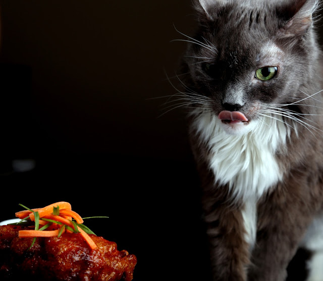 Vegan Chick'n and Waffles with Sriracha-Maple Syrup + cat